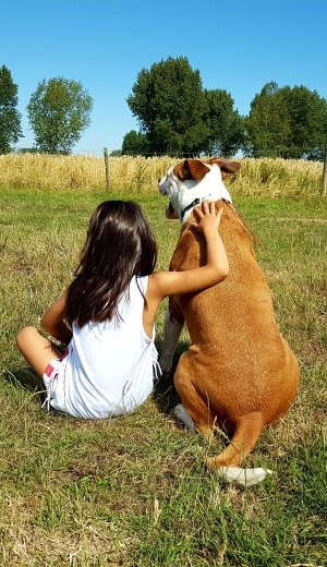 GoBobby hondentraining en gedragstherapie pitbull Bob en Laura