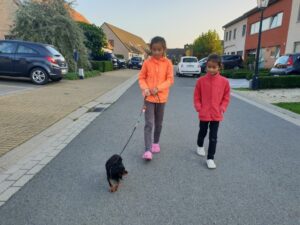 Hondentraining Sint Michiels