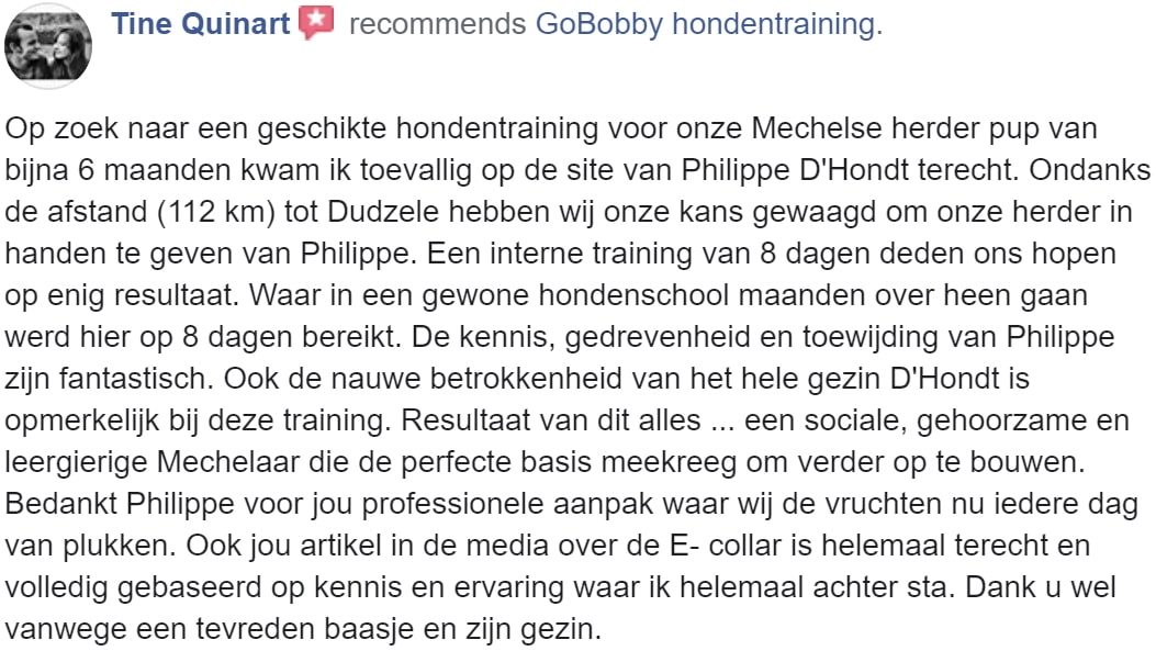 Etienne Quinart - Mechelse herder