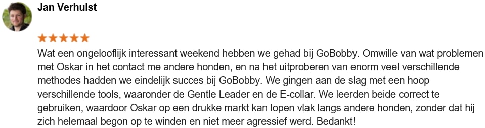 Jan Verhulst-min