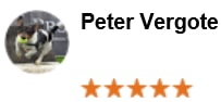 Peter Vergote - border collie