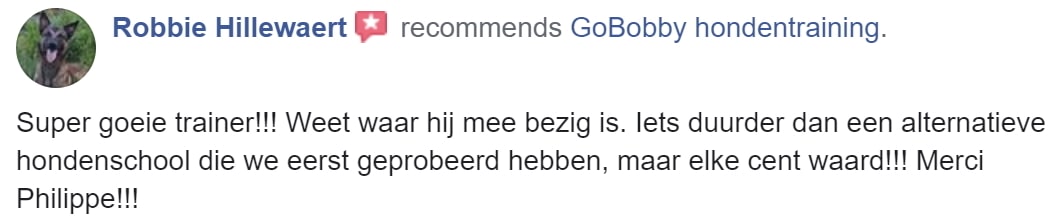 Robbie Hillewaert - Mechelse herder