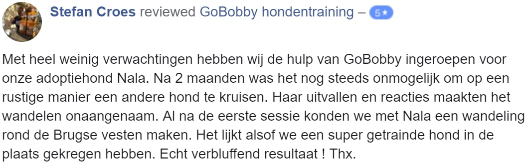 Stefan Croes - oud duitse herder