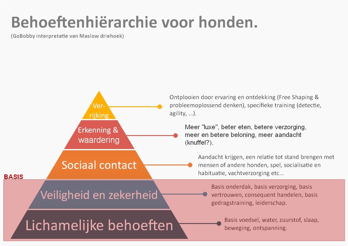 Maslow driehoek BASIS hondentraining