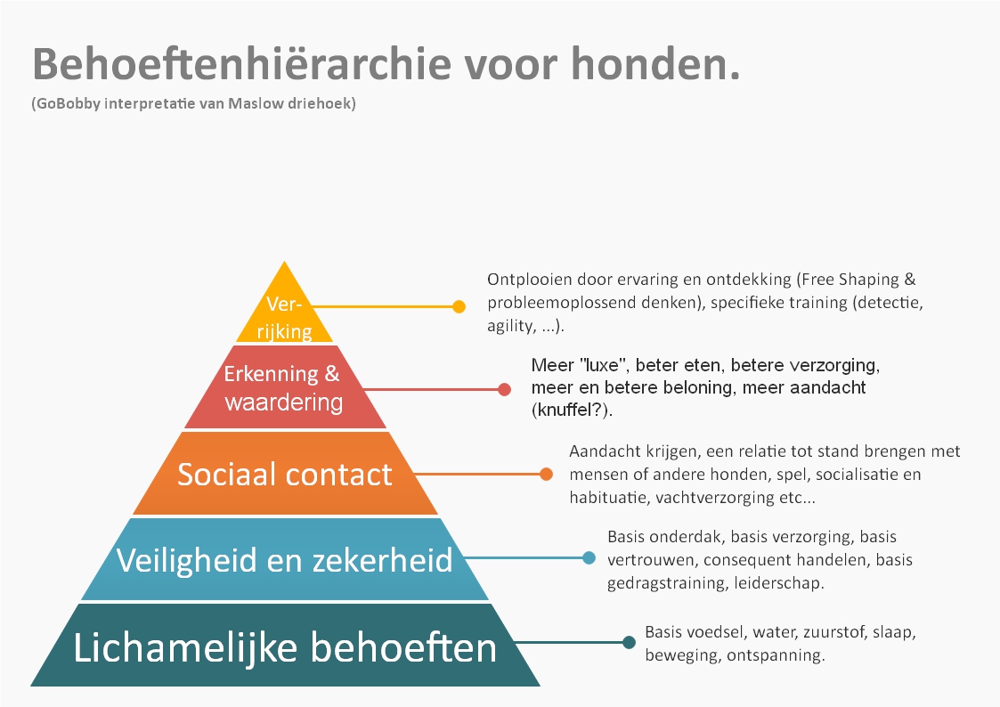 Maslow-driehoek met de behoeften van de hond