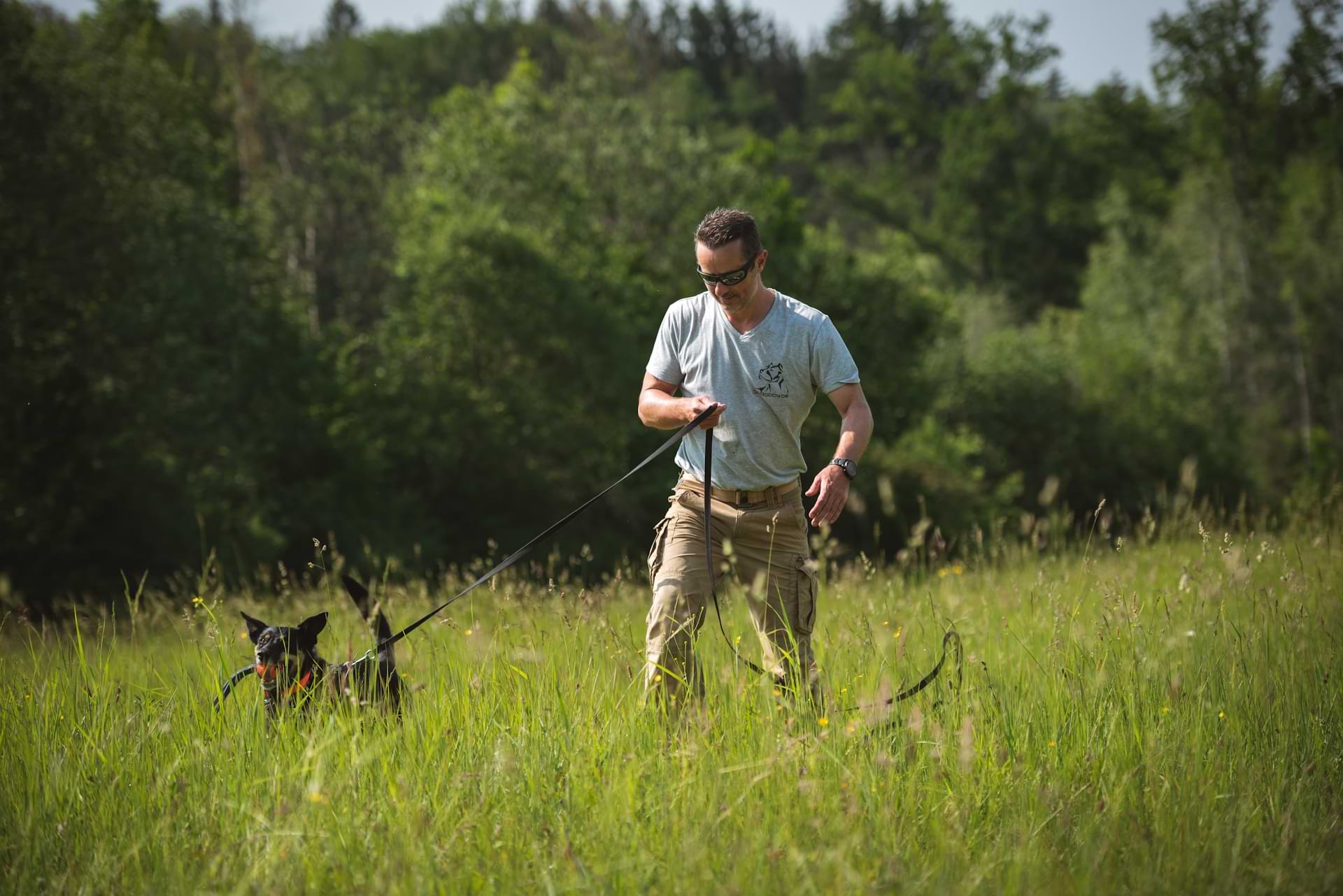 Philippe Dhont traint een hond aan de lange lijn in het hoge gras
