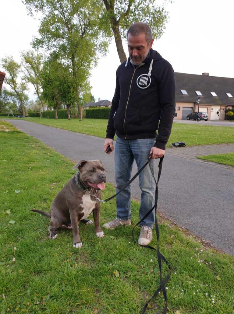 Eros de staffordshire zit naast zijn baasje op het gras
