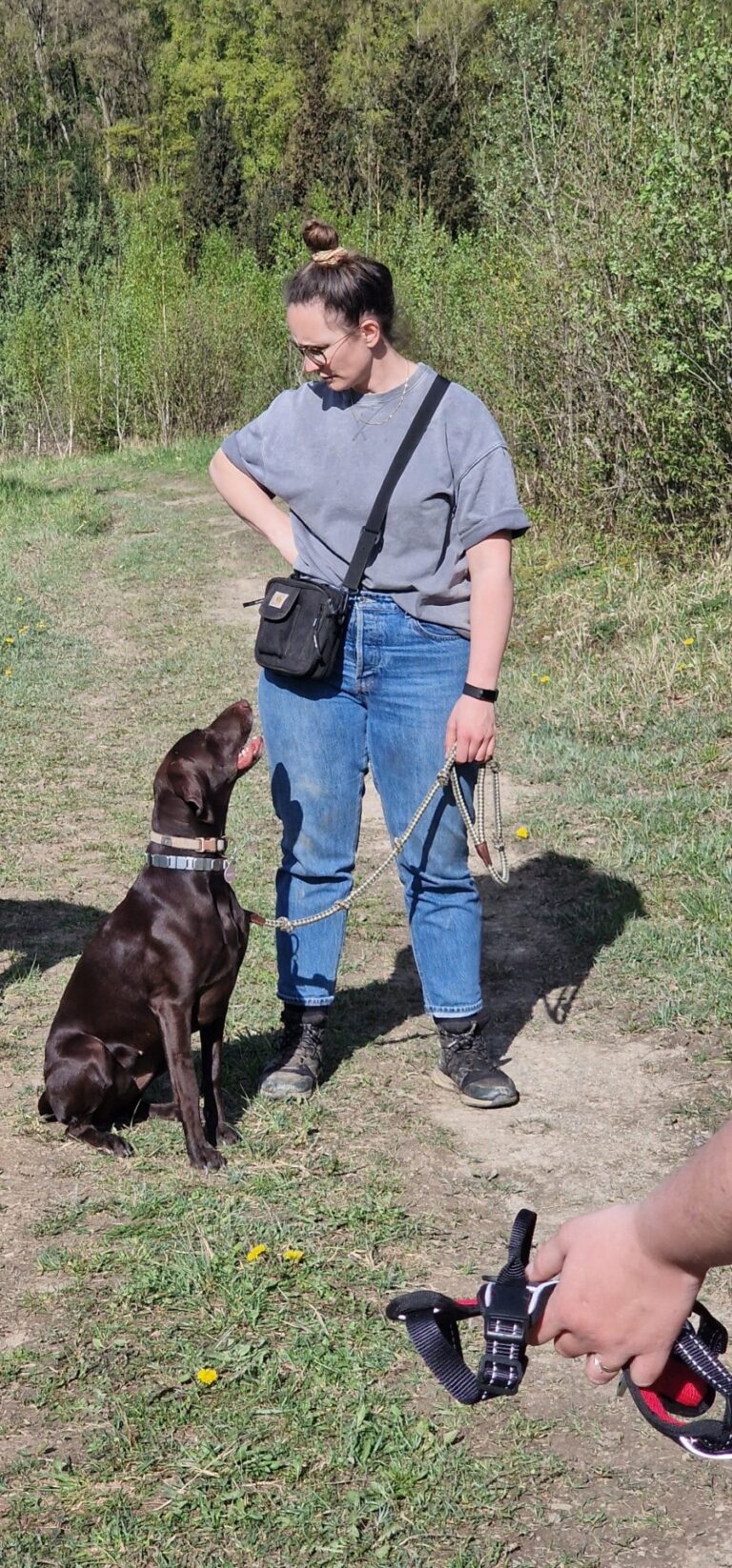 Coco de Duitse staande tijdens een workshop in de Ardennen