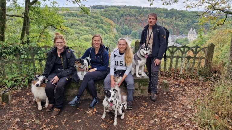 Deelnemers van een workshop in de Ardennen met hun honden, onder wie Jack de jack russell