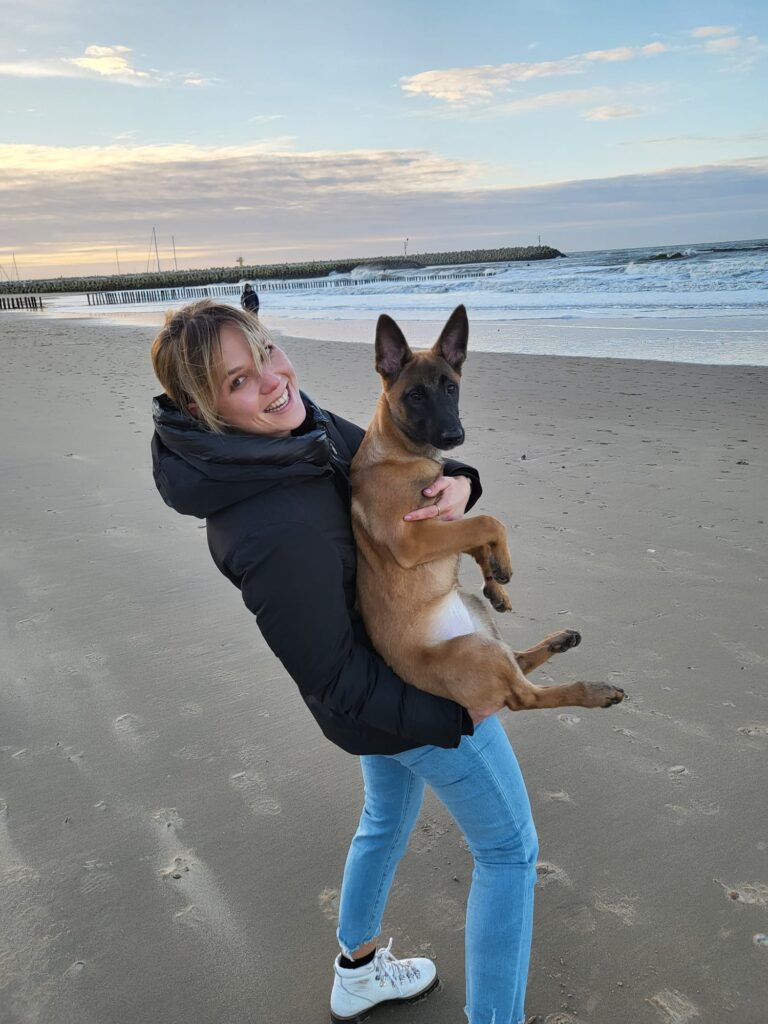 Loua de Mechelse herder als pup in de armen van haar baasje op het strand