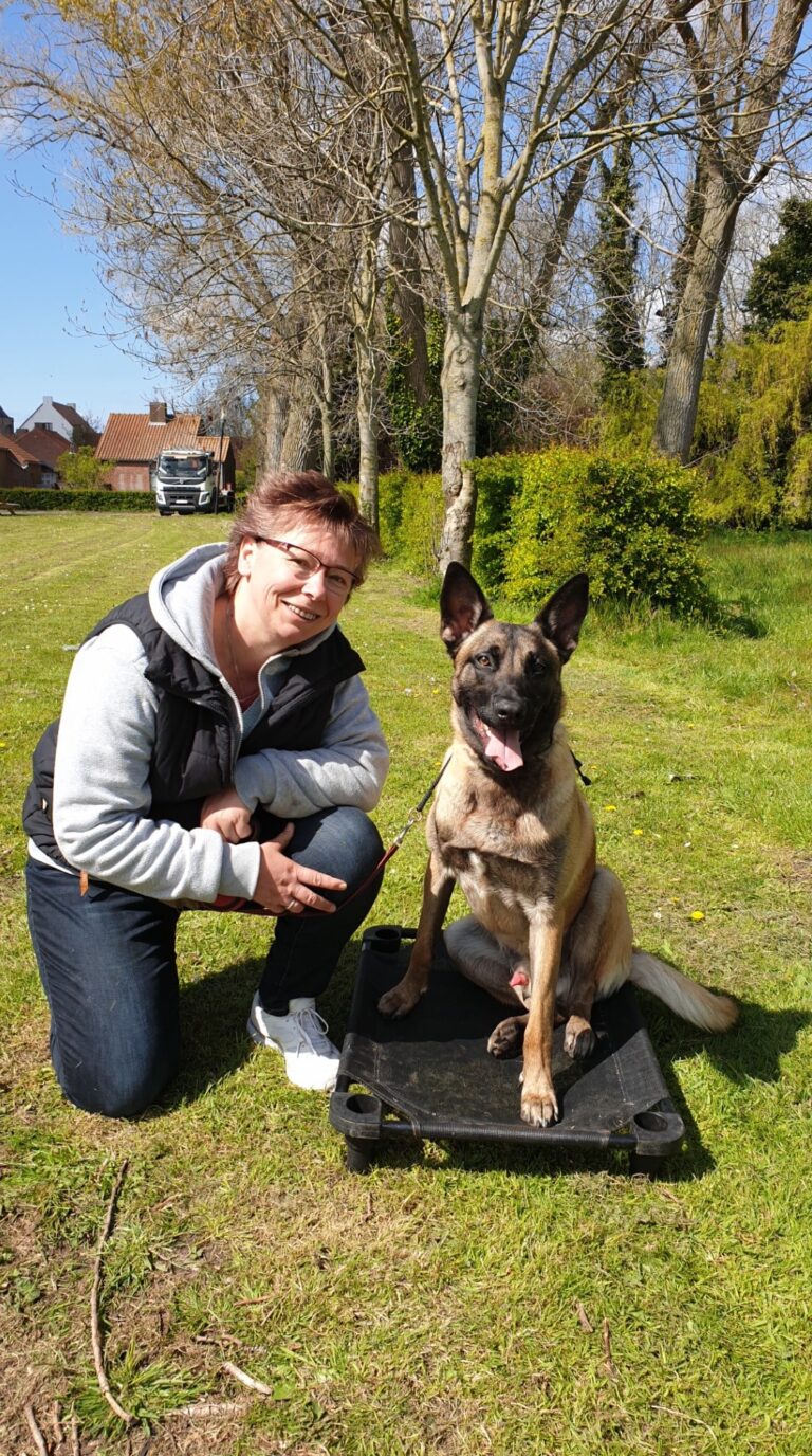 Falco de Mechelse herder op zijn verhoogde plaats, samen met zijn baasje