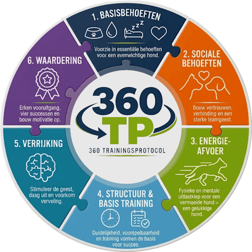 Overzicht van het GoBobby 360 Training Protocol