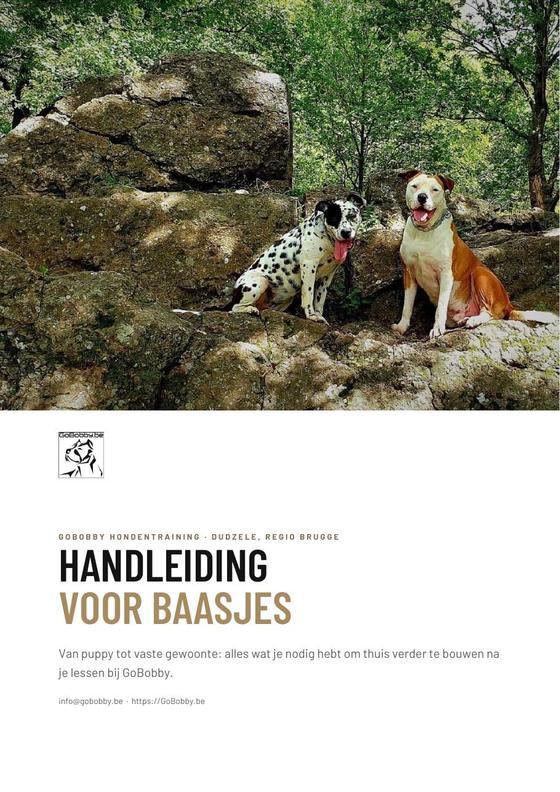 Voorpagina van de gratis GoBobby handleiding voor baasjes